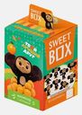 Мармелад с игрушкой Sweet Box 10г в ассортименте