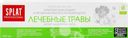 Зубная паста SPLAT Medical Herbs Professional, 100мл