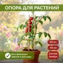 Опора для растений, GreenArt, 50 шт., 40 см, в ассортименте