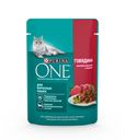 Корм Purina One с говядиной и морковью для кошек, 75г
