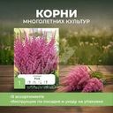 Корни многолетних культур "Петрофлора", 1 шт., в ассортименте