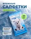 Влажные салфетки "ЛЁД", охлаждающие, 20 шт.