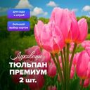 Луковицы цветов, в ассортименте