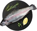 Форель Карельская охлажденная, потрошеная с головой, 1 кг