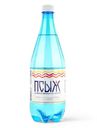 Вода Псыж минеральная питьевая лечебно-столовая газированная, 1л