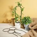 Опора для цветов, GreenArt, в ассортименте
