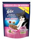 Корм для котят Felix Двойная Вкуснятина Курочка 600г
