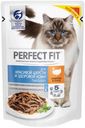 Корм для кошек PERFECT FIT для красивой шерсти и здоровой кожи индейка в соусе, 75 г
