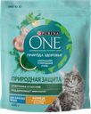 Корм сухой для взрослых кошек PURINA ONE Природа здоровья с высоким  содержанием курицы, 680г