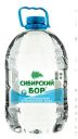 Вода питьевая «Сибирский бор» негазированная, 5 л