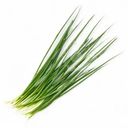 Лук Global Village зеленый 100г