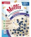 Каша Mollis овсяная с молоком и со вкусом черники 40г