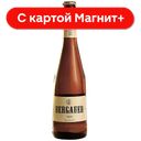 BERGAUER Fest Пиво св фильтр 5% 0,5л ст/бут(Тагил):20