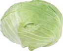 Капуста белокочанная