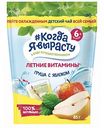 Чай детский Когда я вырасту Груша с яблоком, с 6 месяцев, 85 г