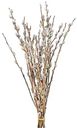 Верба пучок срез, 40см