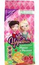 Мармелад желейный Лакомства для здоровья Царевны Манго и малина, 105 г