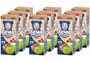 Каша молочная гречневая с пребиотиками яблоко «Тема», С 6-ти мес, 206 г (9 шт)