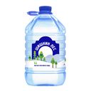 Вода «Шишкин лес» без газа, пластик, 5 л