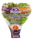 Салат Дуболистный красный Московский эксклюзив в горшочке 140 г