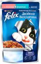 Корм Felix «Двойная вкуснятина» для кошекжеле лосось, форель, 85 г