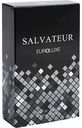 Туалетная вода для мужчин Euroluxe Salvateur, 100 мл