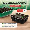 Мини-кассета для рассады, 178х130х50 мм, 0,17 л, 6 ячеек