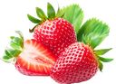 КЛУБНИКА Свежая, фасованная, 100г