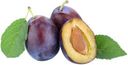 Слива чернослив