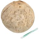 Кокос Артфрут свежий, 1шт