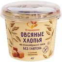 Хлопья овсяные Сташевское соленая карамель без глютена, 45г