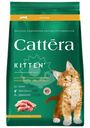 Корм Cattera с курицей сухой полнорационный для котят с 1 месяца беременных и кормящих кошек, 300г