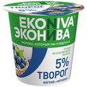 Творог EkoNiva черника 5%, 125 г