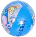 Мяч Jiansu Jilong Sport надувной