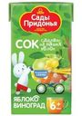 Сок Сады Придонья яблочно-виноградный восстановленный осветленный 125мл