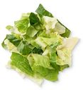 Смесь салатная Выгодно Айсберг и Романо свежая резаная мытая, 200г