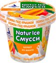 NATUR ICE Смусс Шербет из манго 80г к/уп:36