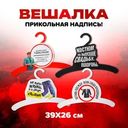 Вешалка, Prank Bank, в ассортименте
