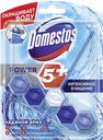 Блок для унитаза Domestos Power5 Ледяной бриз, 53 г