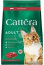 Корм сухой Cattera с говядиной полнорационный для взрослых кошек 700г