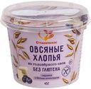 Хлопья овсяные Сташевское черника-белый шоколад без глютена, 45г