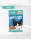 Влажный корм для взрослых кошек "Домашняя вкуснятина", FELIX, с рыбой 75 г