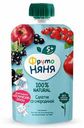 Пюре ФрутоНяня салатик со смородиной с 5 месяцев 90 г