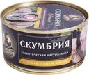 Скумбрия За родину Атлантическая натуральная с маслом 185г