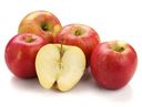 Яблоки Медовый хруст