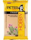 Грунт для кактусов и суккулентов Peter Peat, 2,5 л