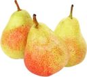 Груша Форель