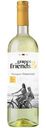 Вино Grapes & Friends Kangun Rkatsiteli белое сухое 12%, 750мл