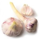 Чеснок ранний