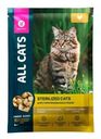 Корм для кошек All Cats тефтельки с курицей в соусе 85г